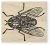 100 Proof Press Wood Mounted Rubber Stamp - Gigantic Fly
