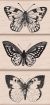 Hero Arts Wood Mounted Rubber Stamps - Three Artistic Butterflies