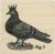 Catslife Press Wood Mounted Rubber Stamp - Pigeon Fig. 3